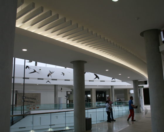 East Gate Mall bale ceiling from Grobuild