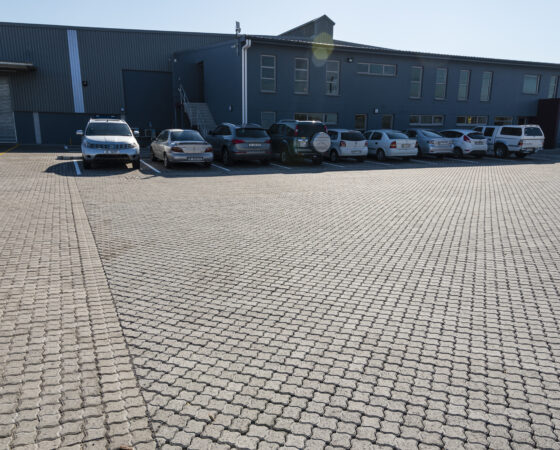 CEL_CapeCon_9192